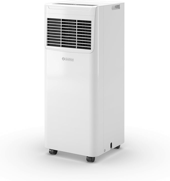 Olimpia Splendid Dolceclima Slim 10